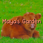 + * Maya's Gardèn * +