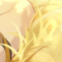 ⋆.˚