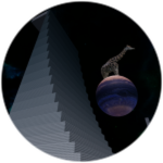 Space Training Wall