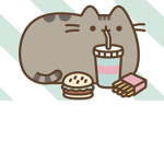Delicious Cat Cafe