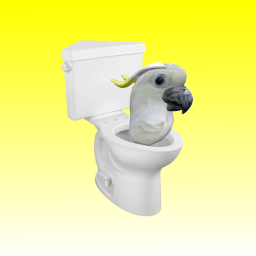 cockatoo-toilet brookhaven