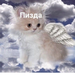 м ≠ р а к
