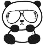 Team Panda!!!
