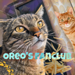 Oreo’s Fanclub