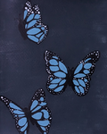 rare butterfly