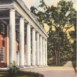 Chapel Hill Novelties