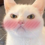DxRkks Group