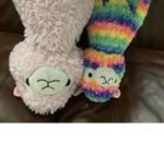 Alpaca party