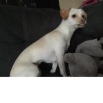 JANIE