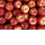 Apples are awesome
