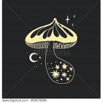 UwU Space Mushroom Froggo