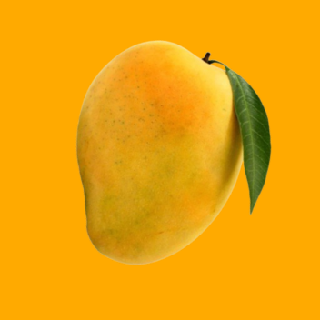 🥭┊ Mango