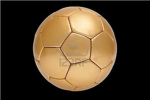 Golden Fc