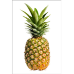 Michael Smells Pineapples Roblox Group