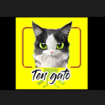 Ten gato