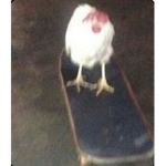 Duck Squad (JoIn PlS)