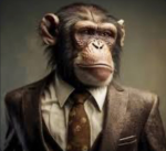 da funny monkes