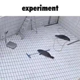 Recursion