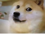 The cheems _doge god army