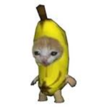 [K] Project Banana