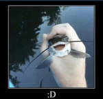 Fishy school!!