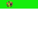 linkGaming Group