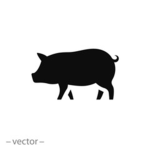 The Pig times
