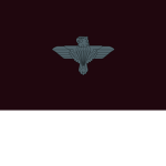 44 Parachute Brigadе