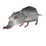 roux teehee buy buy