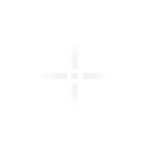 aim group mvsd