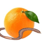 Ŵèłçòmẽ Fříèñďş!!