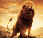 Lion Group :)
