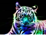Neon Tiger Empire