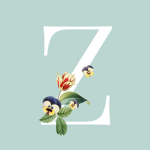 The Z squad!!!