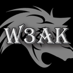 W3AK TEAM