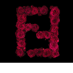 W.S.F FENDI