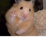 rAt sQuAd hehehe