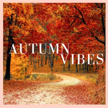 Autumn vibes🍁