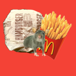- be a rat in a giant mcdonalds -