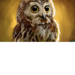 Brayden Owl Fan Club