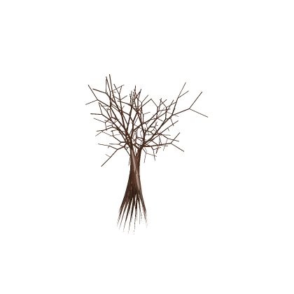 A tall Tree!