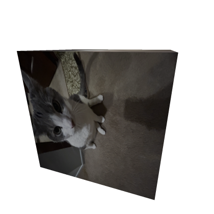 TOMMY CAT