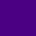 Indigo Burger
