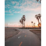 A.e.s.t.h.e.t.i.c_v.i.b.e.z.z.z