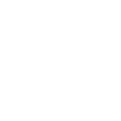 White Ramiris Pixie Wings