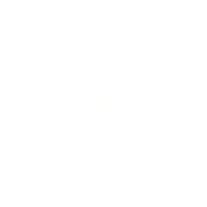 White Ramiris Pixie Wings