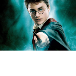 Dumbledore's Training Grounds
