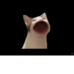 Da boooooooooooooooooooyyyyyyyyyyyyyyyssssssssssss
