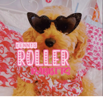 The Roller Rabbits