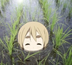 Dino sect :3